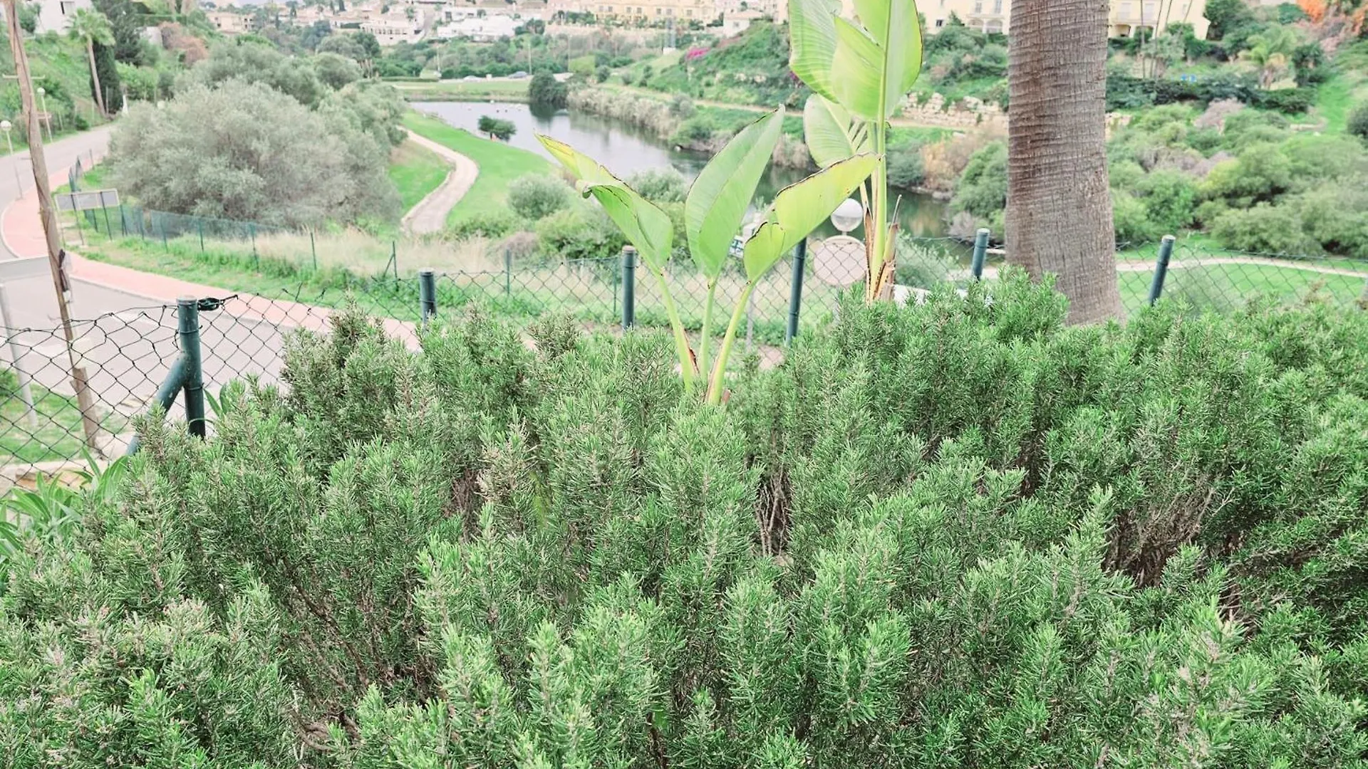 Zafir Apartment With 2 Bedroom And Private Garden Malaga